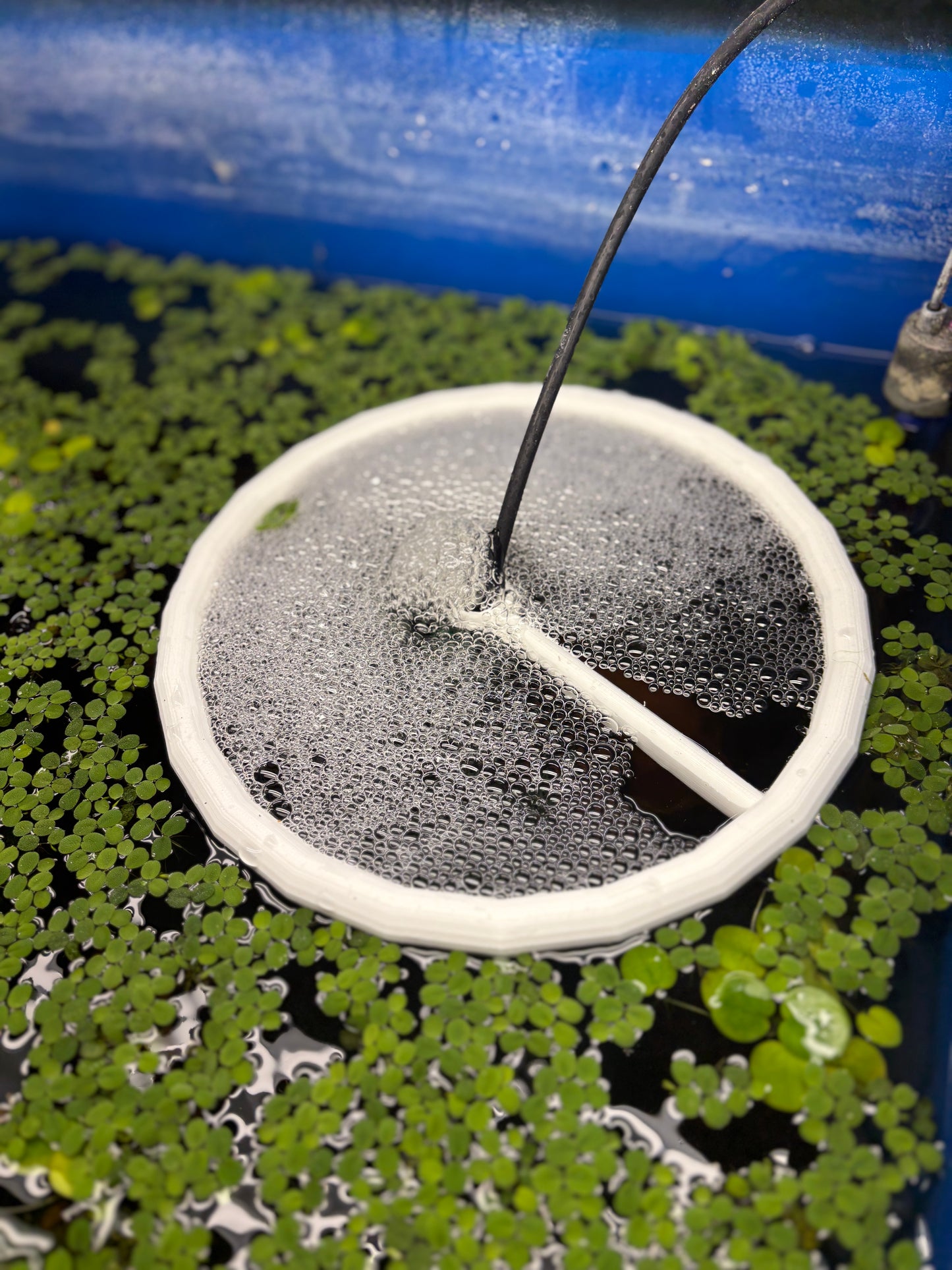 Aquarium Sponge Filter Bubble Blocker Ring