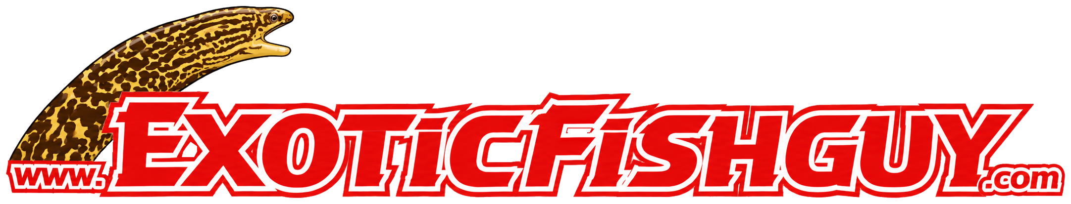 ExoticFishGuy master logo