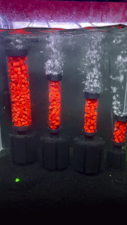 Sponge Filter Bio Tumbler