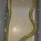 Freshwater Tiger Moray Eels (Gymnothorax polyuranodon)