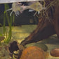 Unicolor Eel