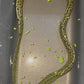 Freshwater Tiger Moray Eels 14-15" (Gymnothorax Polyuranodon)