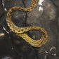 Baby Tiger Moray Eels (Gymnothorax Polyuranodon) 5-6”